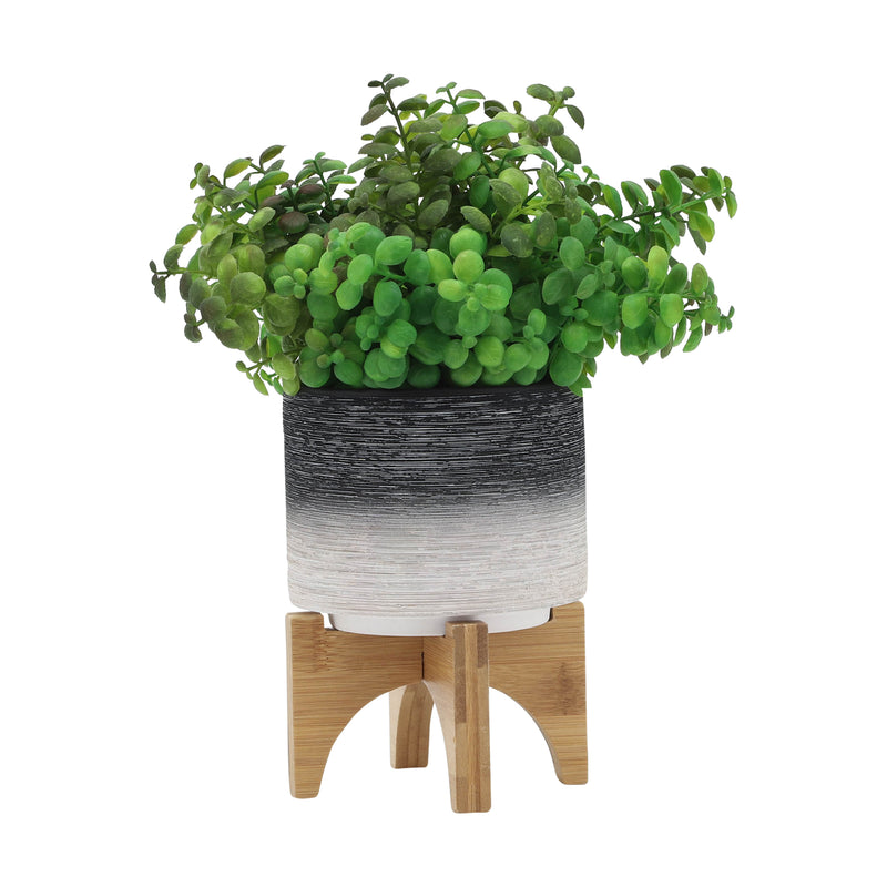 5" Planter with Wood Stand