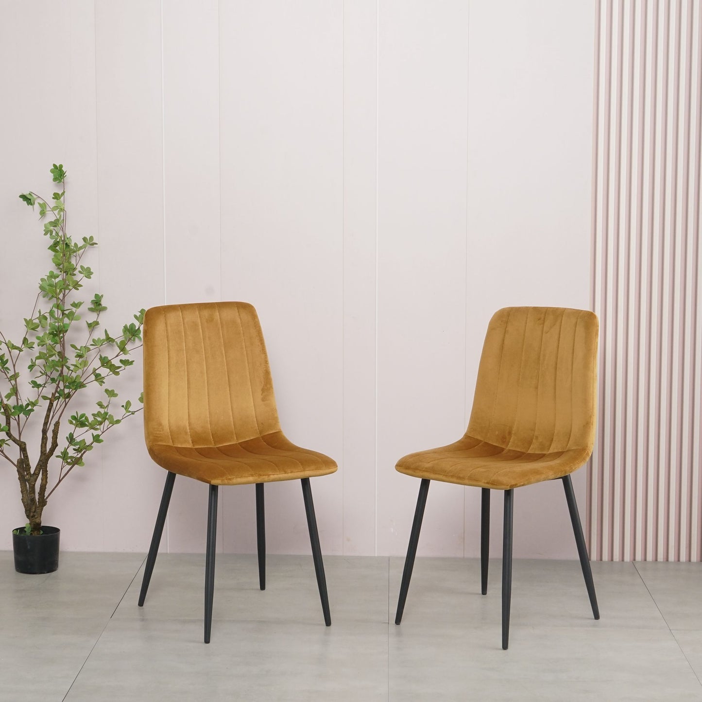 Modern Velvet Dining Kitchen Chair, Upholstered Side Chair with Black Coated Legs, set of 4